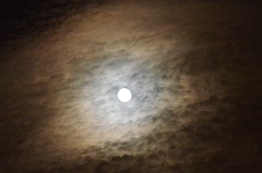 fullmoon 037